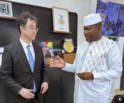 Audience : Renforcement des perspectives de coopération économique entre la Guinée, le Japon et la France