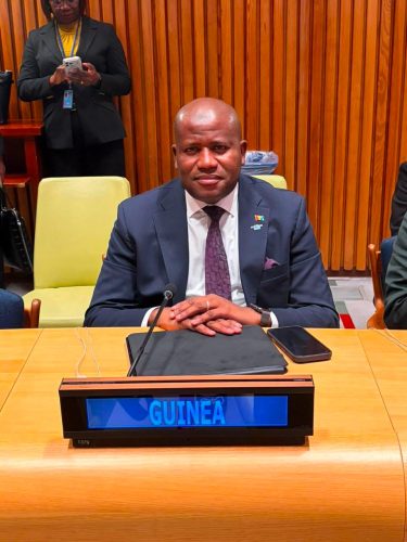 RNV 3 : le troisième Rapport national volontaire de la Guinée validé aux Nations Unies à New York, avec les félicitations de la présidence de l&rsquo;instance