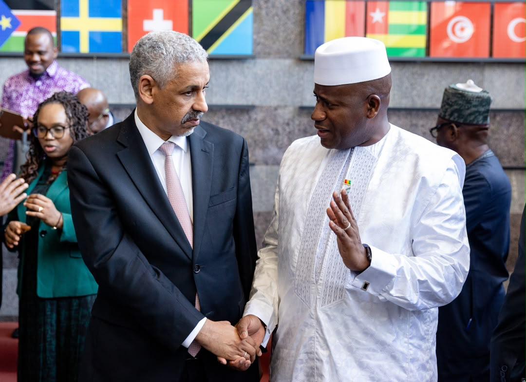 Simandou 2040 : le Ministre Ismaël NABÉ veut faire de la BAD un partenaire d&rsquo;exécution
